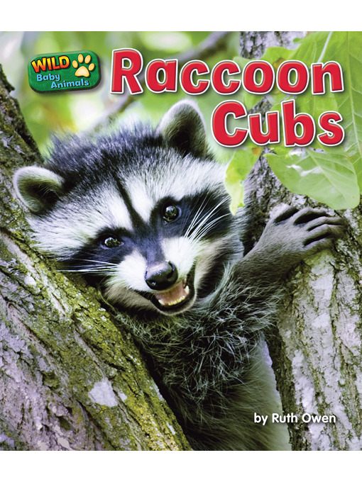 Title details for Raccoon Cubs by Ruth Owen - Available